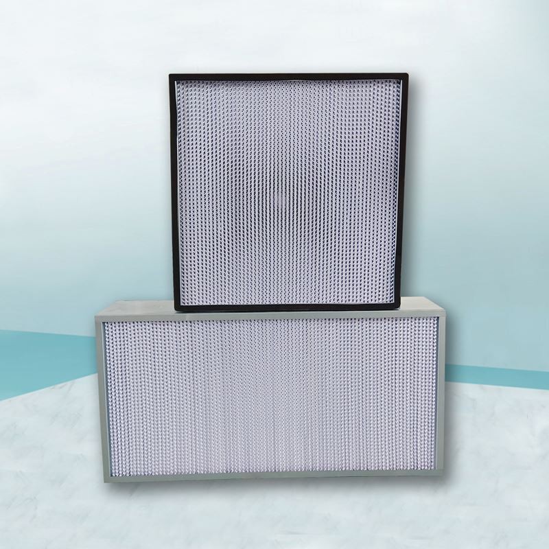 HEPA Filter With Partition
